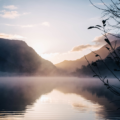 Understanding Emotional Healing